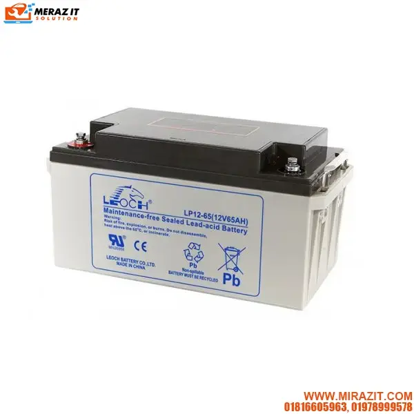 Leoch 65AH UPS Battery